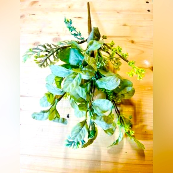 *Mixed Lamb’s Ear Pick, 17” - Picture 1 of 10